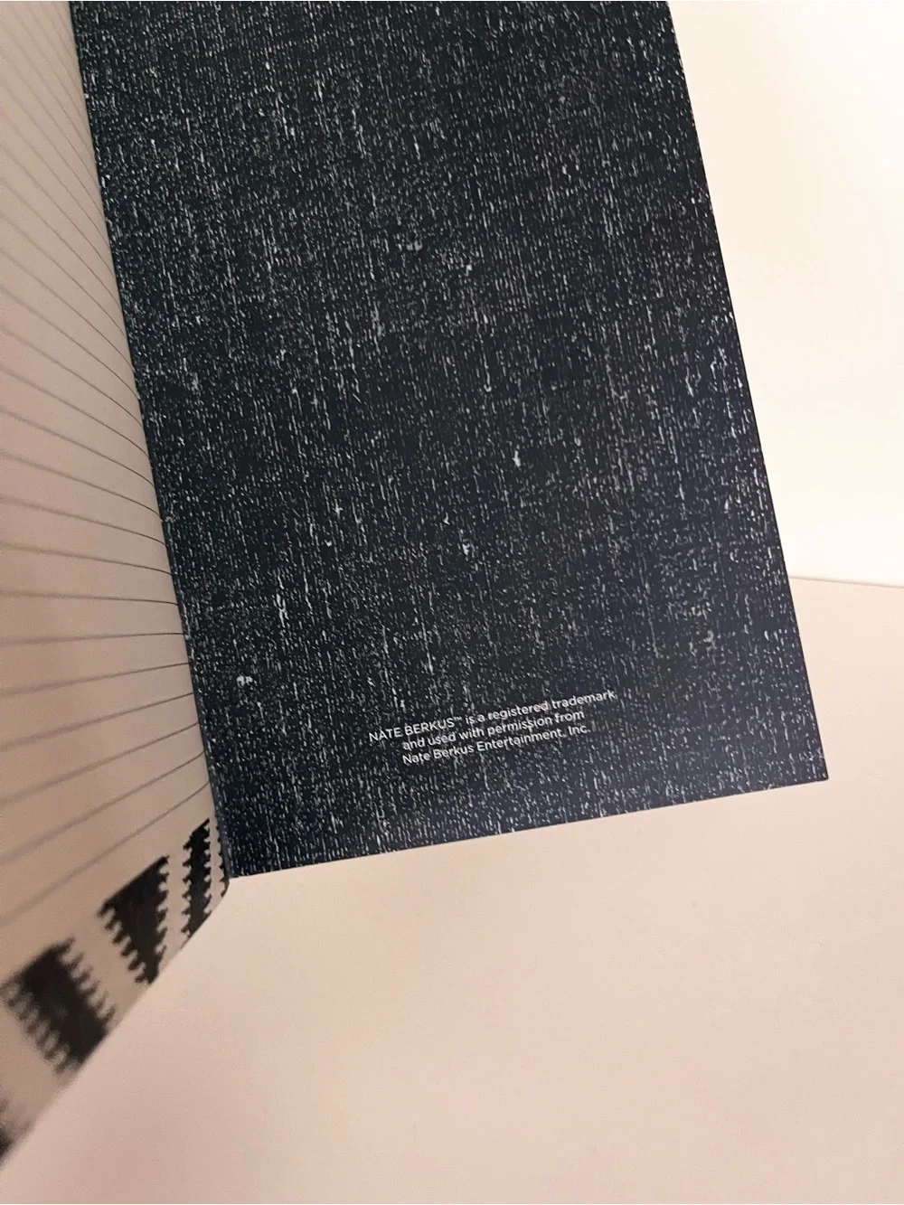 Nate berkus Thin chevron notebook
